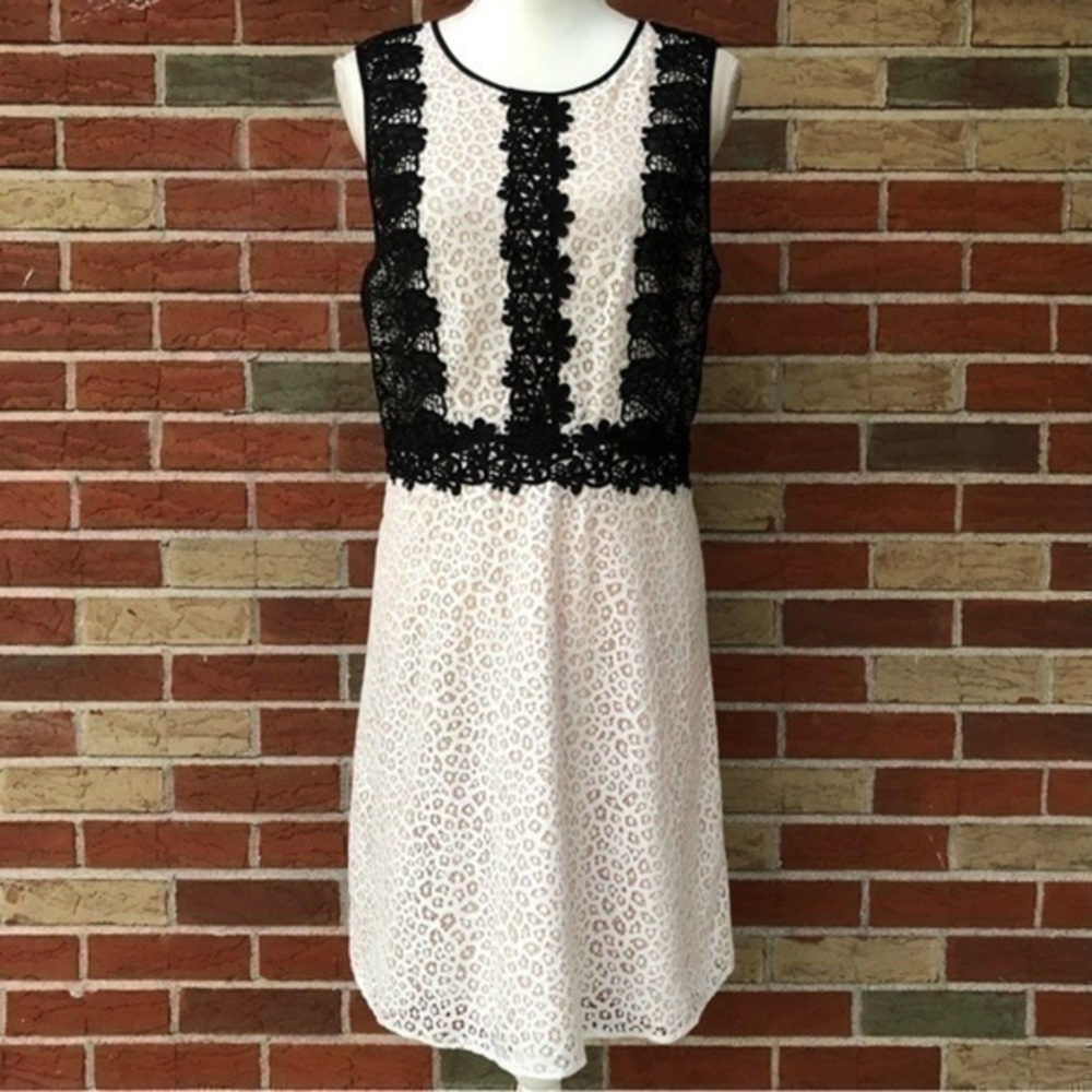 CeCe Floral Lace Sheer Black White Sleeveless Dress 👗